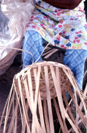 Lucreaty Clark weaving a white oak basket