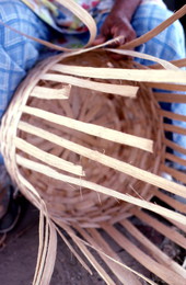 Lucreaty Clark weaving a white oak basket