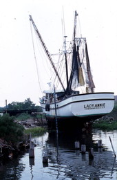 Shrimp boat "Lady Annie" in dry dock - Fernandina Beach, Florida