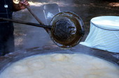 Cooking sugar cane juice into syrup - Orlando, Florida.