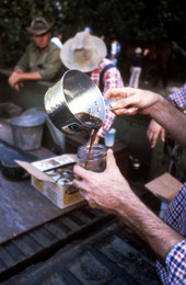 Pouring sugar cane syrup into a jar - Orlando, Florida.