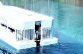 Tour boat moving along - Wakulla Springs, Florida.