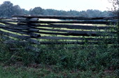 Detail of fence bordering yard - White Springs, Florida.