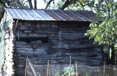 Side view of tobacco barn on Winfield Road - Columbia County, Florida.