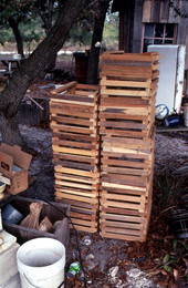 Stone crab traps made by Steve Moody - Perry, Florida