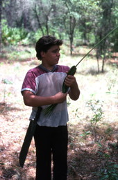 Boy harvesting palmettos - Tampa, Florida.