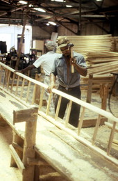 Making a cypress ladder - Bartow, Florida.