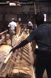 Making a cypress ladder - Bartow, Florida.