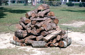 Firewood and the iron ring surrounding it which is used to place forks for roasting mullet - Monticello, Florida