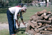 Men getting the firewood and iron ring used to place forks for roasting mullet ready - Monticello, Florida