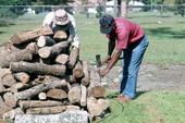 Men getting the firewood and iron ring used to place forks for roasting mullet ready - Monticello, Florida