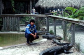 Alligator wrestler Richards Bowers - Hollywood, Florida