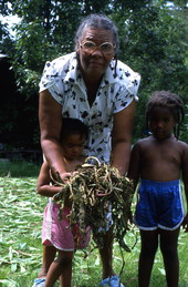 Jesse Mae Newsome collecting plants to make medicine - White Springs, Florida