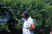 Jesse Mae Newsome looking for plants to make medicine - White Springs, Florida
