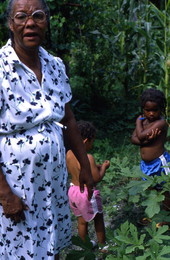 Jesse Mae Newsome collecting plants to make medicine - White Springs, Florida