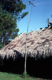 Seminole chickee with a TV antenna - Immokalee, Florida