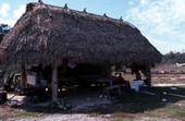 Sadie Cypress' chickee - Big Cypress Seminole Indian Reservation, Florida