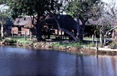 Chickees along the Tamiami Trail - Miccosukee Reservation, Florida