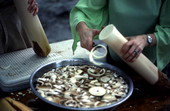 Thelma Driver cutting swamp cabbage into a bowl - Mayo, Florida.