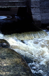 Spring flowing into the Suwannee River - White Springs, Florida