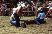 Cowboys at work - White Springs, Florida
