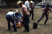 Cowboys branding a cow with paint - White Springs, Florida