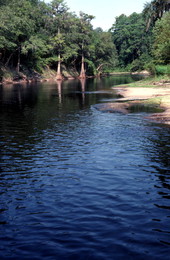 Suwannee River at White Springs - White Springs, Florida