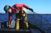 Fisherman Tommy Noles with net.