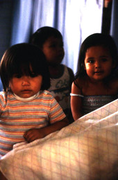 Mexican children of fern workers being watched by Guadalupe Ramos - Seville, Florida