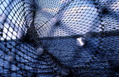 Inside of a fish net - Palatka, Florida.
