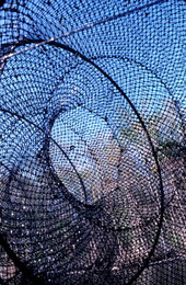 Inside of a fishing net - Palatka, Florida.