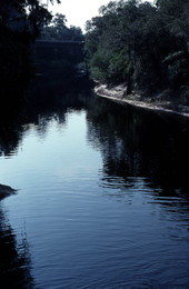 Suwannee River at White Springs - White Springs, Florida