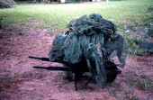 Torn net in a wheelbarrow - Jacksonville, Florida