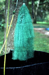 Cast net over a preservative container - Jacksonville, Florida