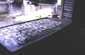 Submerged Cuban floortiles being "seasoned" - Miami, Florida.