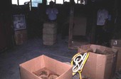 Packing sponges at Arrellano Brothers Sponge Distributors - Miami, Florida.