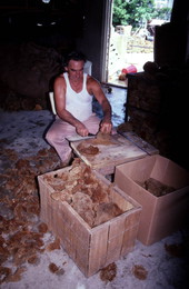 Worker cutting sponges - Miami, Florida.