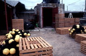 Lobster traps - Miami, Florida.