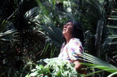 Agnes Cypress looking for medicinal plants - Big Cypress Reservation, Florida