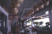 Cuban open air market - Miami, Florida.