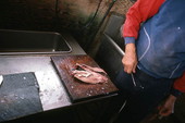 Lloyd's Seafood worker filleting a mullet - Apalachicola, Florida
