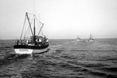 Wynema and other shrimp boats heading out to sea- Neptune Beach, Florida