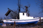 Bay shrimp boat at Mill Pond : Apalachicola, Florida.