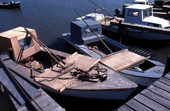Docked oyster skiffs - Apalachicola, Florida.