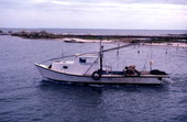 Oyster skiff in Eastpoint harbor - Eastpoint, Florida