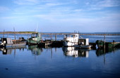 Fishing boats docked at Eastpoint harbor - Eastpoint, Florida
