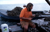 Ken Folsom culls oysters - Apalachicola Bay, Florida.