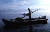 Cletis Anderson tongs for oysters : Apalachicola Bay, Florida.