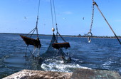 Trawl net emerges from ocean - Apalachicola Bay, Florida.