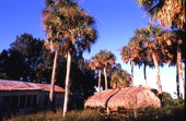 Traditional Seminole chickee - Brighton Reservation, Florida